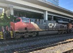 CN 2944